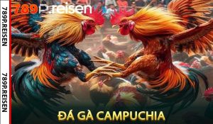 Đá gà Campuchia