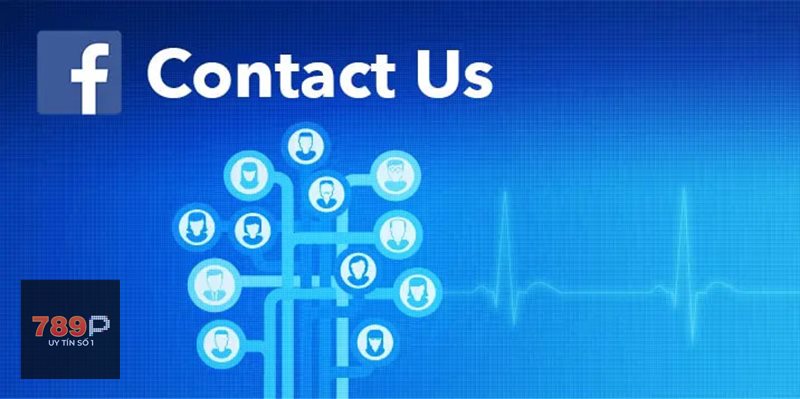Liên Hệ 789p - Lỗi đăng nhập, quên mật khẩu hoặc tài khoản bất thường